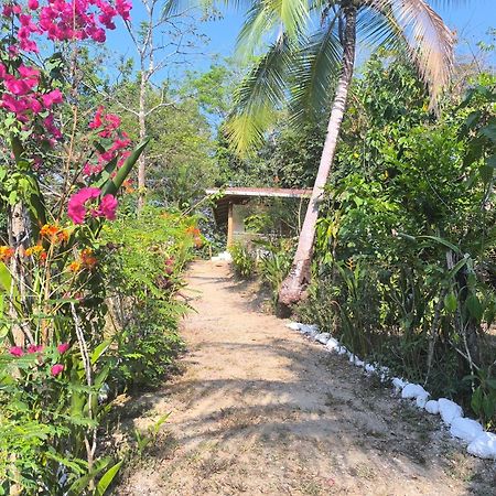 Casa Paraiso Manzanillo  ภายนอก รูปภาพ