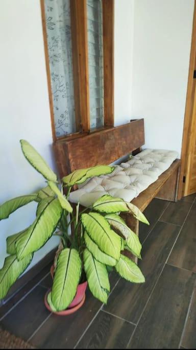 Casa Paraiso Manzanillo  ภายนอก รูปภาพ
