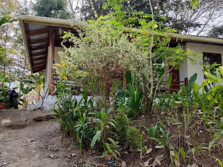 Casa Paraiso Manzanillo  ภายนอก รูปภาพ