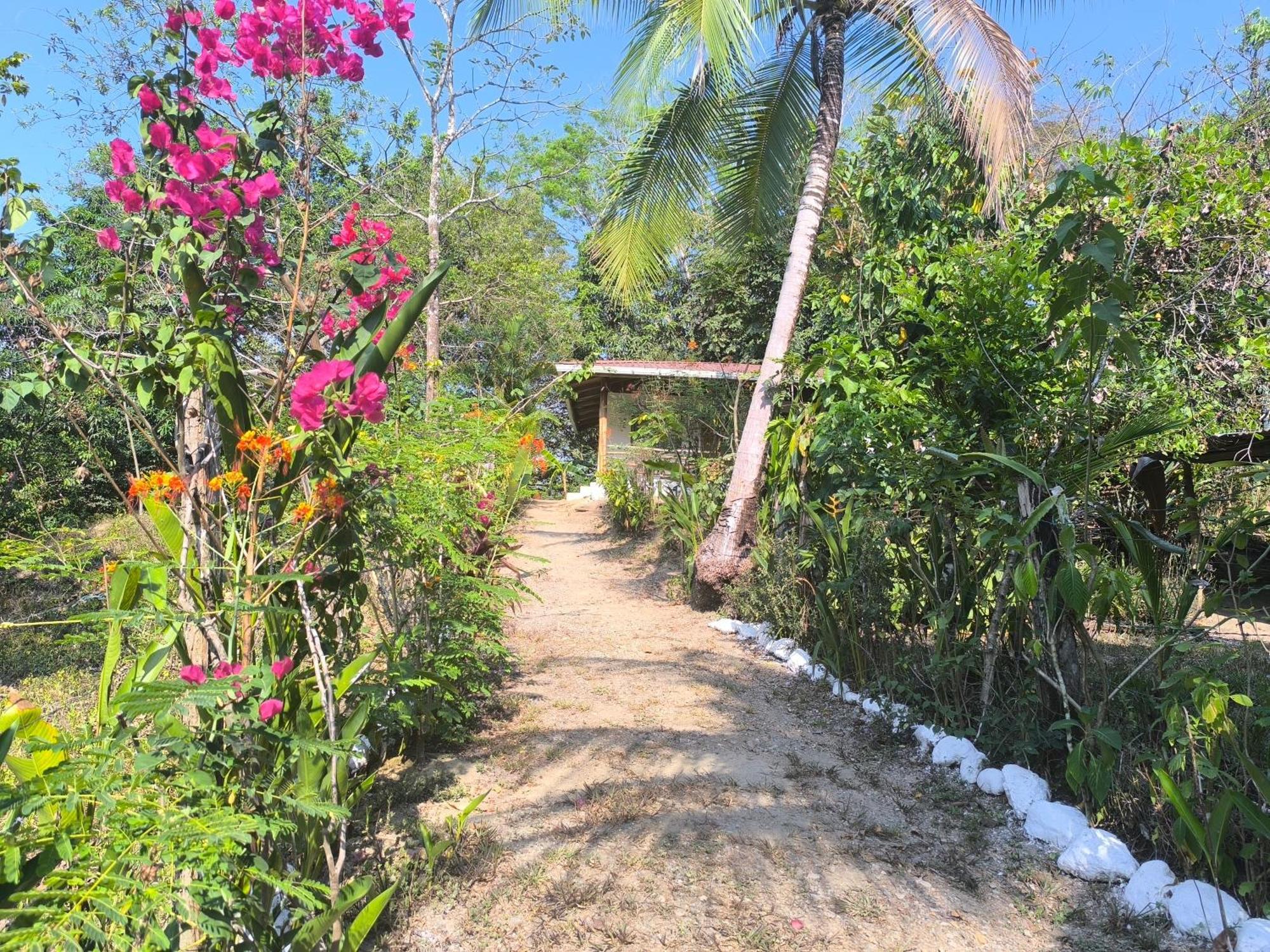 Casa Paraiso Manzanillo  ภายนอก รูปภาพ